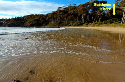 Beachgum - Accommodation 4U 2