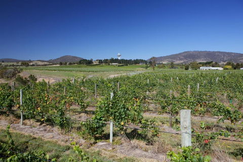 Riversdale Estate Cottages - Accommodation 4U 1