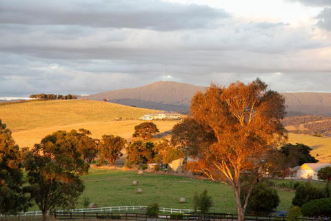 Rose Cottage Yarra Glen - Accommodation 4U 1