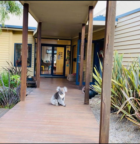 Sandpiper Motel Apollo Bay - Accommodation 4U 3