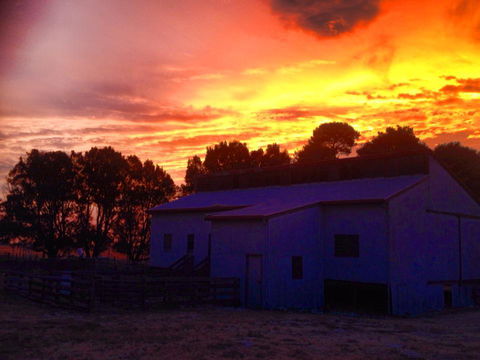 Beggs Farmstay B&B - Accommodation 4U 1