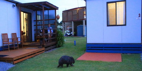 BIG4 Kelso Sands Holiday & Native Wildlife Park - Accommodation 4U 0
