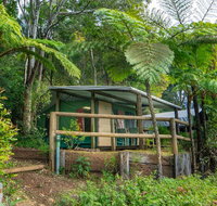 Binna Burra Rainforest Campsite - Accommodation 4U