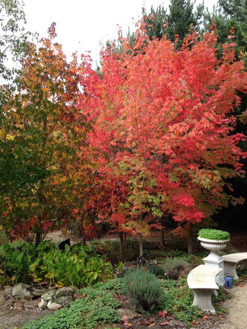 Black Duck Farm - Accommodation 4U 1