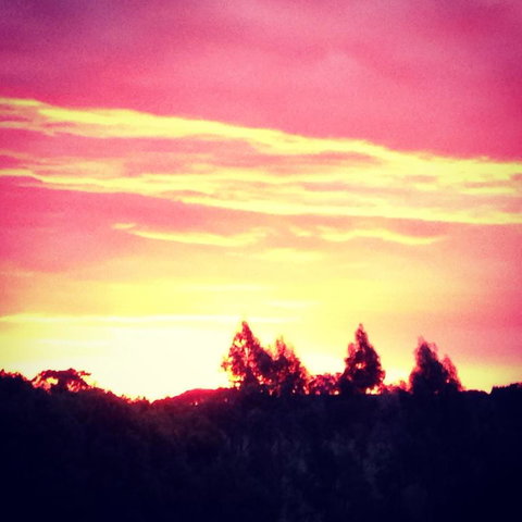 Black Duck Farm - Accommodation 4U 3