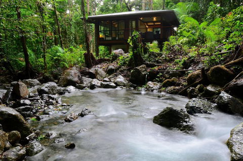 Black Palm Cape Tribulation - Accommodation 4U 2