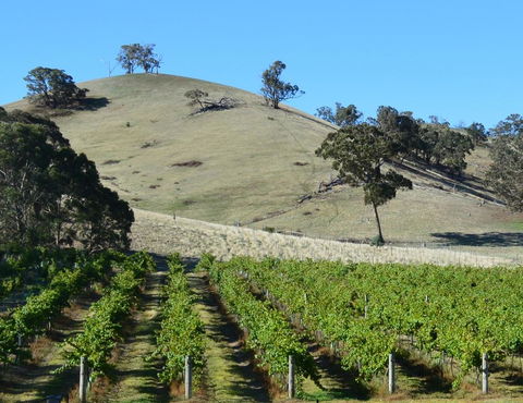 Blue House At Mountainside Wines - Accommodation 4U 3