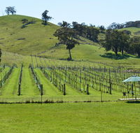 Blue House at Mountainside Wines - Accommodation 4U
