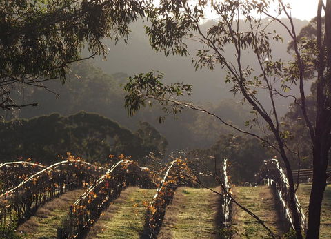 Blue House At Mountainside Wines - Accommodation 4U 2