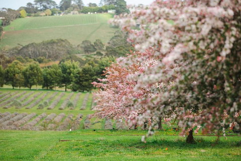 The Lakehouse - Accommodation 4U 2