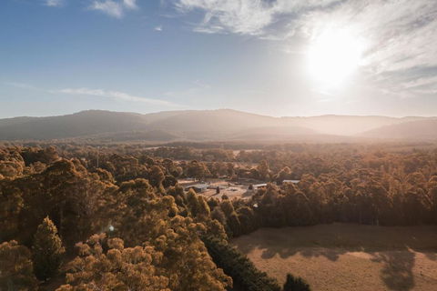 The Mill Houses Narbethong - Accommodation 4U 1