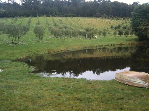 Wanderers Cottage - Accommodation 4U 3