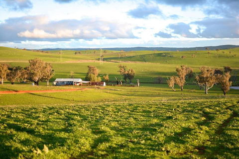 Wantana Cottage Farmstay - Accommodation 4U 1