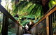 Small-Group Great Ocean Road And Twelve Apostles Full-Day Tour - thumb 1