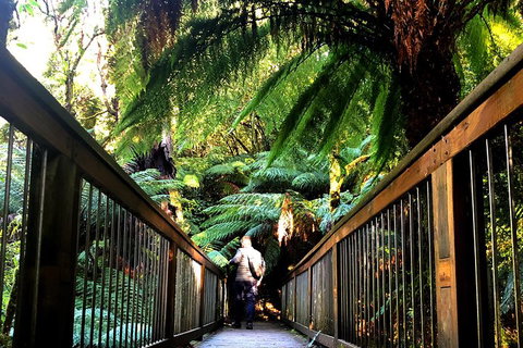 Small-Group Great Ocean Road And Twelve Apostles Full-Day Tour - Accommodation 4U 1