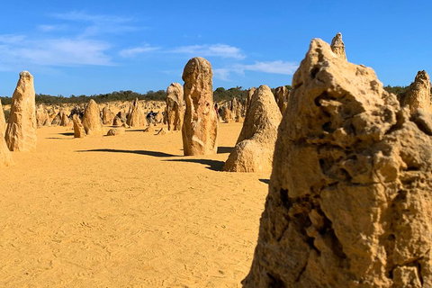 Pinnacles Desert (Private) Day Tour - Accommodation 4U 0