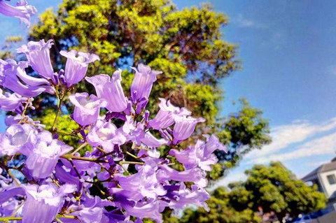 Big Perth (Private) Day Tour - Accommodation 4U 3