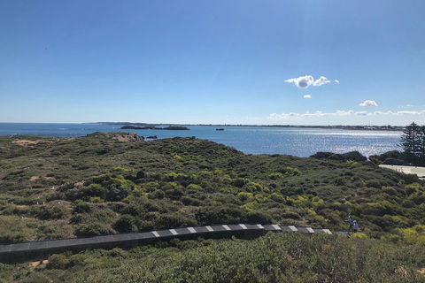 Penguin Island And Fremantle - Canoe, Chocolate & Coffee - Accommodation 4U 0