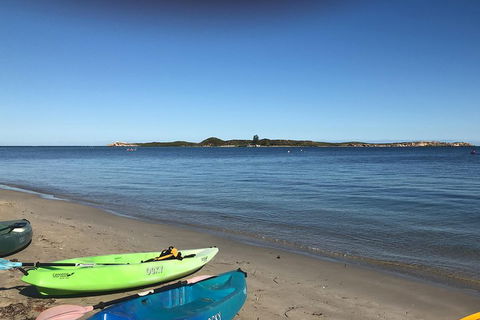 Penguin Island And Fremantle - Canoe, Chocolate & Coffee - Accommodation 4U 2
