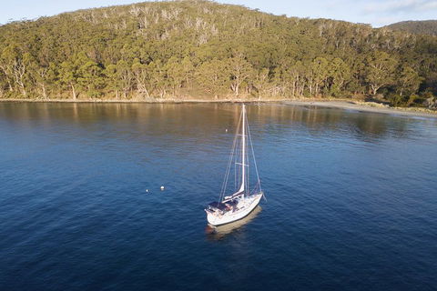 Twilight Sail Bruny Island - Accommodation 4U 3
