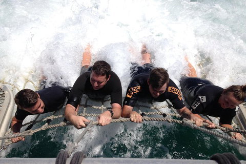 Cruise In Moreton Bay Marine Park And Moreton Island - Accommodation 4U 0