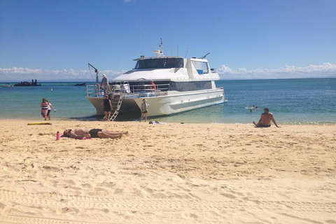 Cruise In Moreton Bay Marine Park And Moreton Island - Accommodation 4U 4