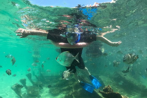 Cruise In Moreton Bay Marine Park And Moreton Island - Accommodation 4U 5