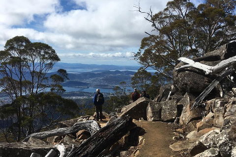 Kunanyi / Mt Wellington Explorer Bus - 2 Hour Return Tour - Accommodation 4U 0