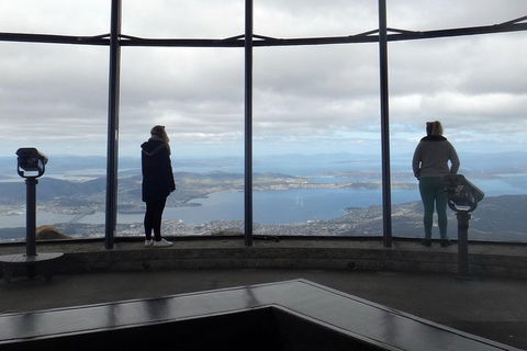 Kunanyi / Mt Wellington Explorer Bus - 2 Hour Return Tour - Accommodation 4U 1