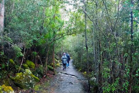 Kunanyi / Mt Wellington Explorer Bus - 2 Hour Return Tour - Accommodation 4U 2
