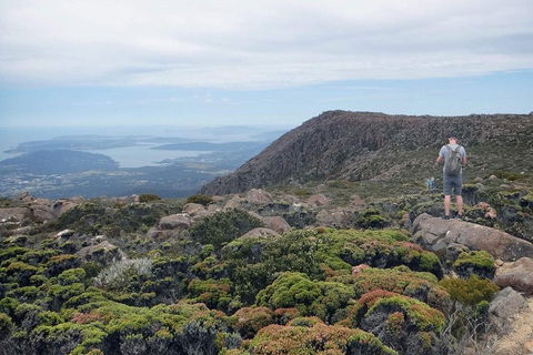 Kunanyi / Mt Wellington Explorer Bus - 2 Hour Return Tour - Accommodation 4U 3