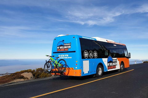 Kunanyi / Mt Wellington Explorer Bus - 2 Hour Return Tour - Accommodation 4U 4