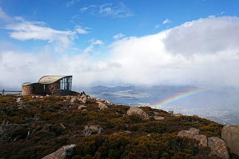 Kunanyi / Mt Wellington Explorer Bus - 2 Hour Return Tour - Accommodation 4U 5