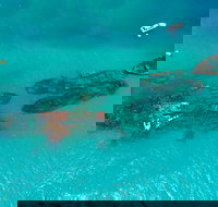 Private Tangalooma Wrecks Tour - Accommodation 4U