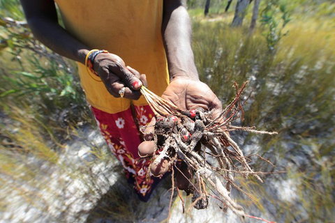 Gay-Wu Woman's 5 Day Yolngu Homeland Tour - Accommodation 4U 0