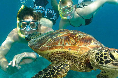8-Day Cairns Tour: Great Barrier Reef, Kuranda, Daintree Rainforest - Accommodation 4U 1