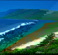 Cairns Reef and Rainforest Combo Daintree Rainforest and the Great Barrier Reef - Accommodation 4U