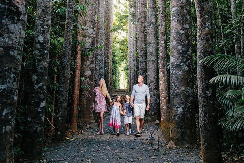 Paronella Park And Millaa Millaa Falls Full-day Tour From Cairns - Accommodation 4U 5