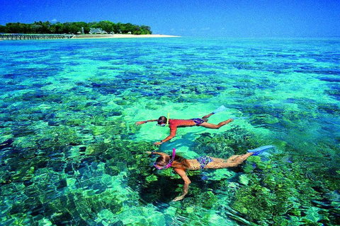 4-Day Cairns With Great Barrier Reef And Daintree Rainforest - Accommodation 4U 2