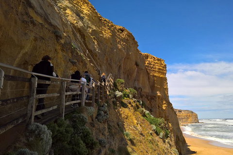 Private Express Experience - 12 Apostles - Accommodation 4U 3
