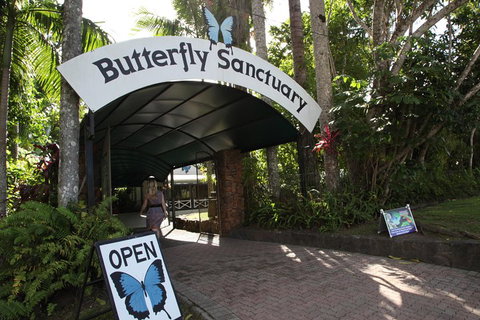 Kuranda Day Trip From Port Douglas Upgrade To Skyrail & Scenic Train Available - Accommodation 4U 0