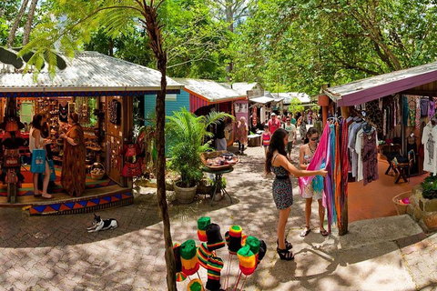 Kuranda Day Trip From Port Douglas Upgrade To Skyrail & Scenic Train Available - Accommodation 4U 2