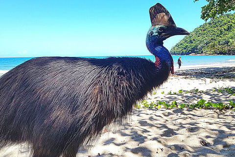 The Paronella Experience - Accommodation 4U 0