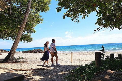 The Paronella Experience - Accommodation 4U 5