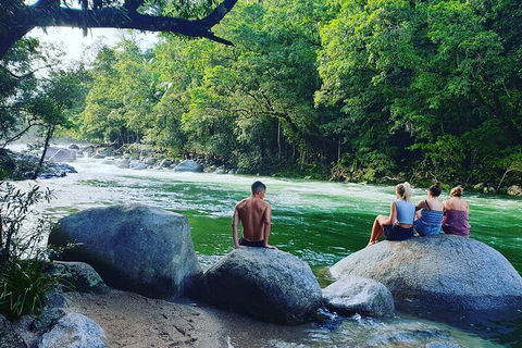 Afternoon Half-Day Daintree Rainforest And River Tour - Accommodation 4U 0