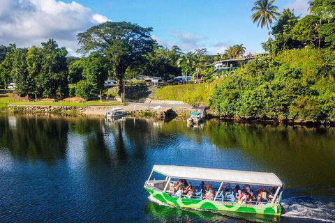 Afternoon Half-Day Daintree Rainforest And River Tour - Accommodation 4U 1