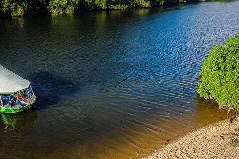 Afternoon Half-Day Daintree Rainforest And River Tour - Accommodation 4U 3