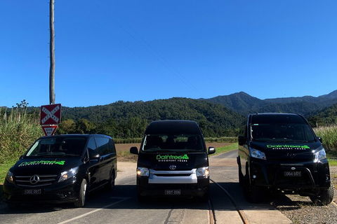 Afternoon Half-Day Daintree Rainforest And River Tour - Accommodation 4U 4