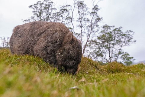 3-Day Cradle Mountain Photography Workshop - Accommodation 4U 0