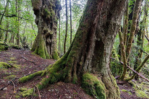 3-Day Cradle Mountain Photography Workshop - Accommodation 4U 1